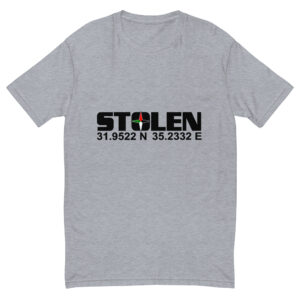 Stolen Coordinates Grey T-Shirt | Printed