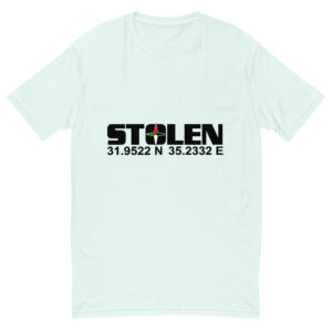 Stolen Coordinates Ice Blue T-Shirt