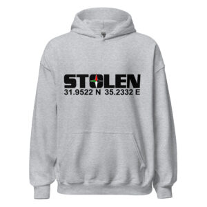 Stolen Coordinates Grey Hoodie | Printed