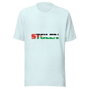 Stolen Essential ||| Ice Blue T-Shirt | Printed